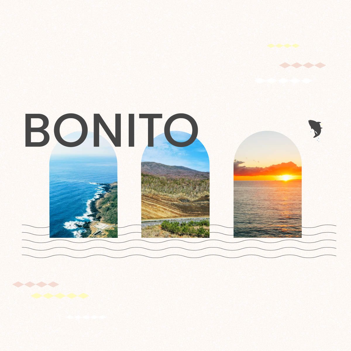 BONITO(ボニート)｜人を、地域を、明るく描く。